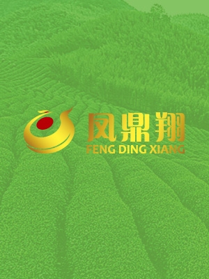 鳳鼎祥茶葉包裝設計